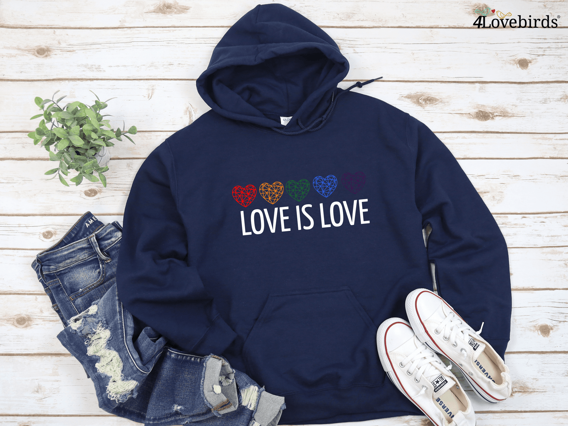 Love is Love Hoodie, LGBT Sweatshirt, Pride Longsleeve, Equality, Love is Love, LGBT Outfit, Love Wins, Rainbow Pride Shirt - 4Lovebirds